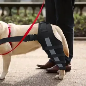 AnniePaw Comfort Care Leg Brace for Dogs - Joint Support & Mobility Aid