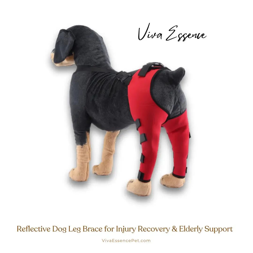 Reflective Dog Leg Brace for Injury Recovery & Elderly Support