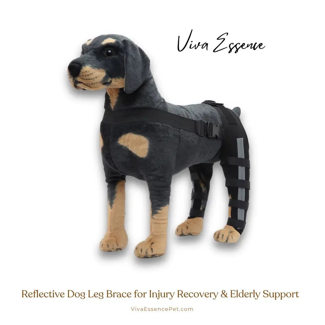 Reflective Dog Leg Brace for Injury Recovery & Elderly Support