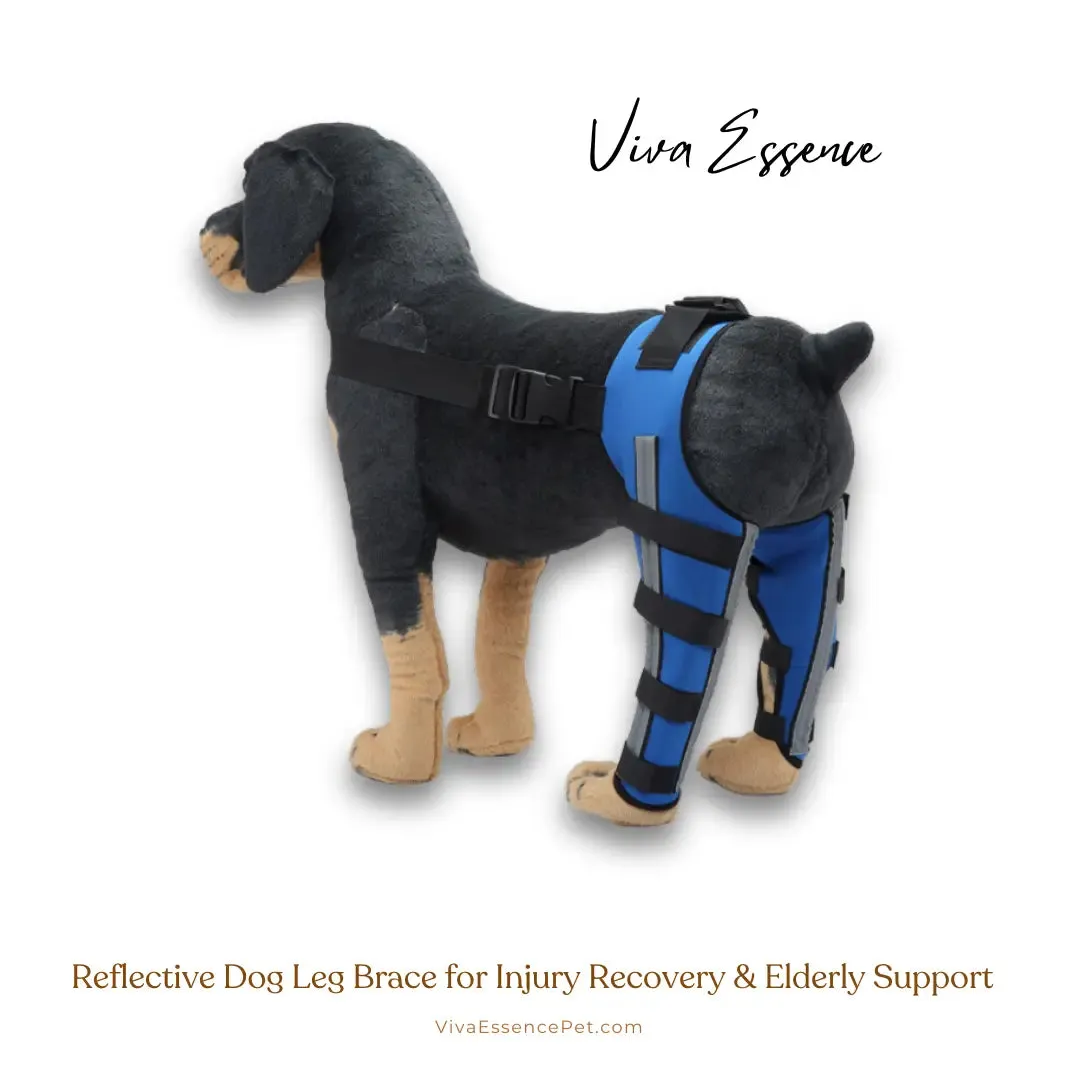 Reflective Dog Leg Brace for Injury Recovery & Elderly Support