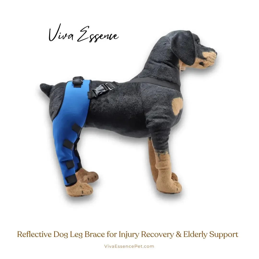 Reflective Dog Leg Brace for Injury Recovery & Elderly Support