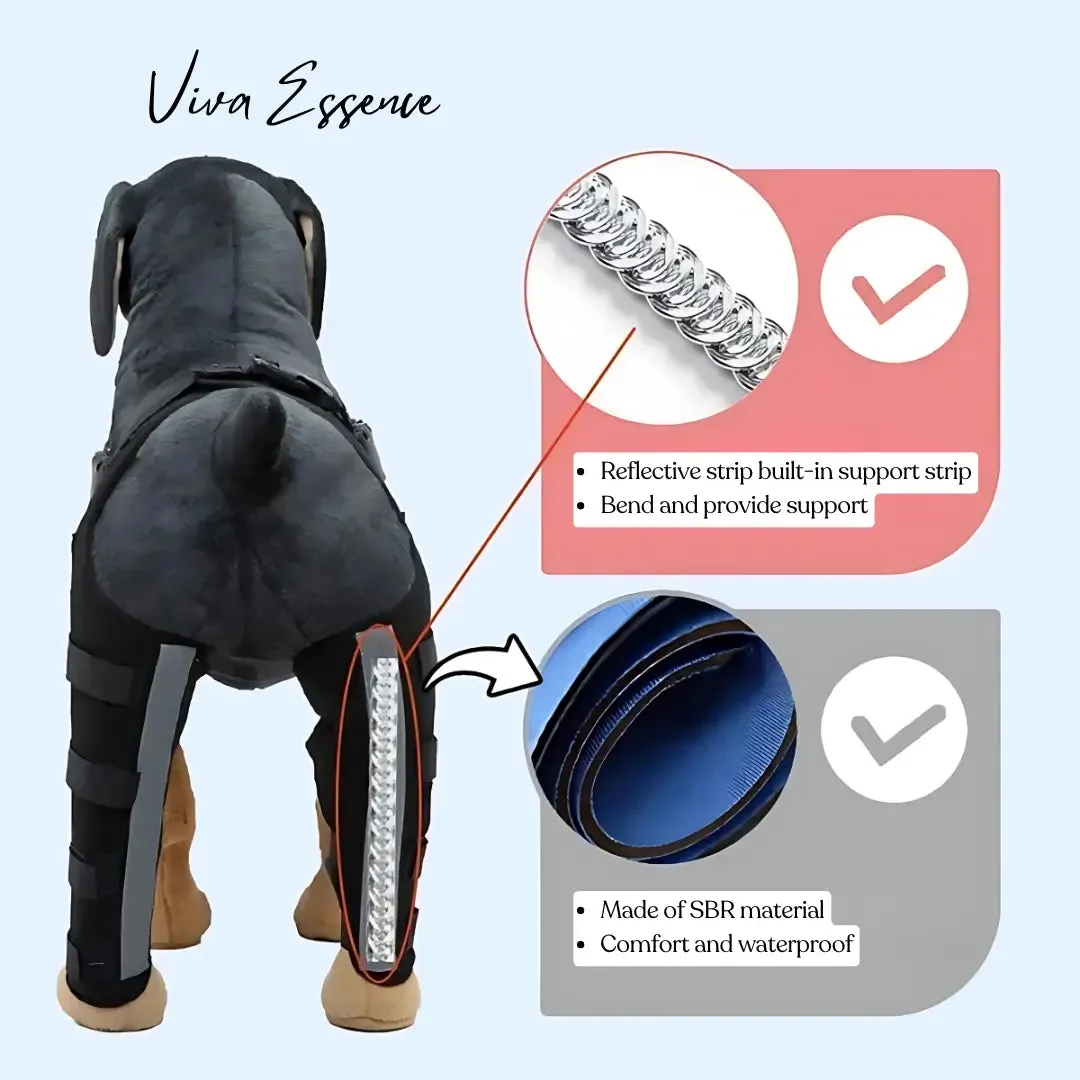 Reflective Dog Leg Brace for Injury Recovery & Elderly Support