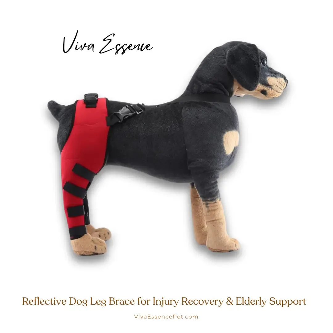 Reflective Dog Leg Brace for Injury Recovery & Elderly Support