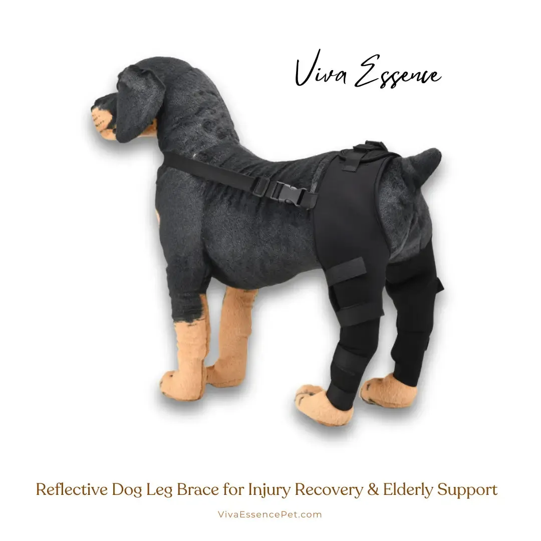 Reflective Dog Leg Brace for Injury Recovery & Elderly Support